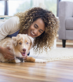 arquitetura para pets